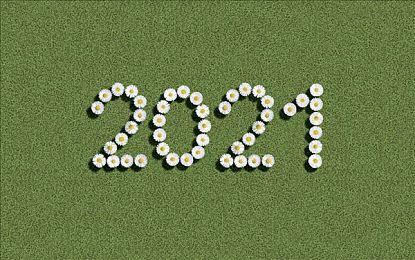 XGP七月下旬新增游戏 《祇：女神之路》等