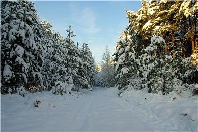 传闻：《堡垒之夜》或将联动动漫《龙珠》